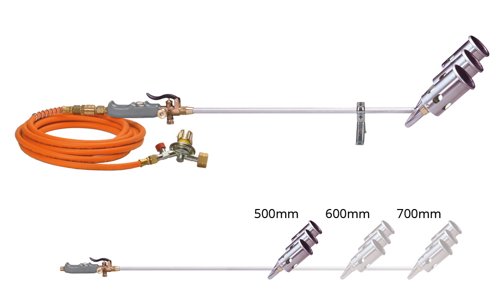 D3